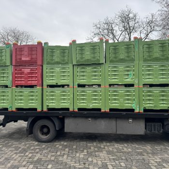 Geperforeerde palletbox voor hooi, opslag, haardhout, fruit
