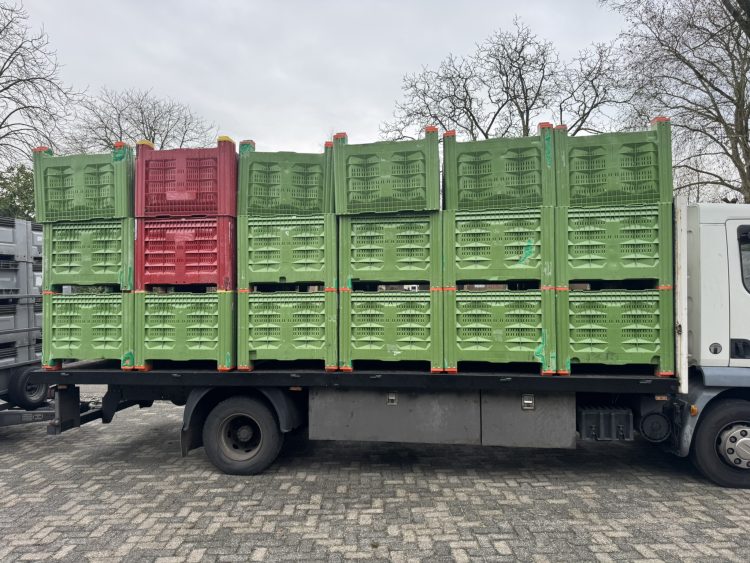 Geperforeerde palletbox voor hooi, opslag, haardhout, fruit