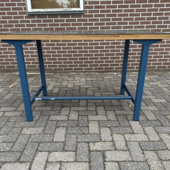 Overtoom Werkbank met Beuken Werkblad Topkwaliteit